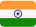 check-icon