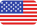 USA Flag Logo
